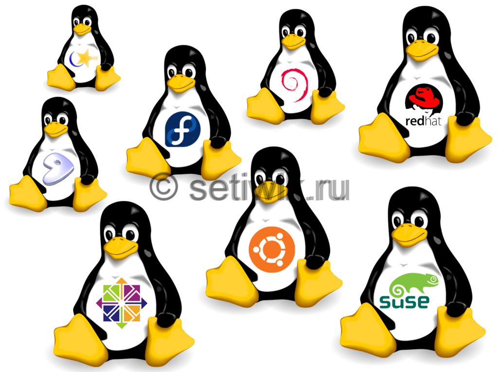 Подключение из Linux к Windows RDP