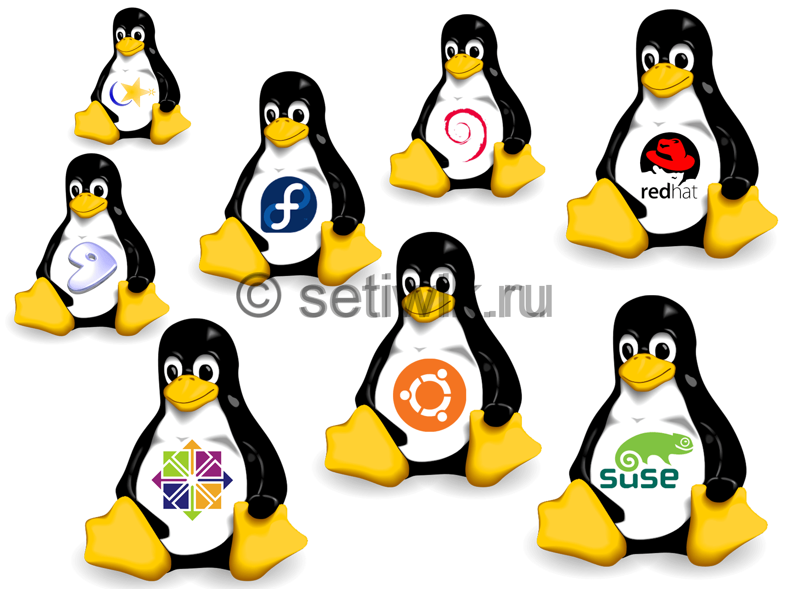 Подключение из Linux к Windows RDP