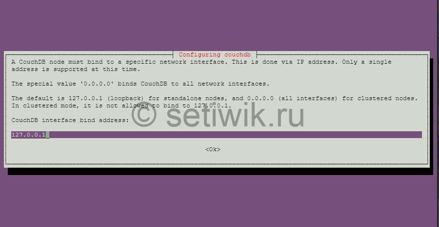 Настройка Сетевого Интерфейса CouchDB