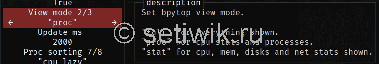 Режим Просмотра Bpytop