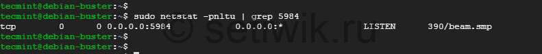Проверка Порта CouchDB