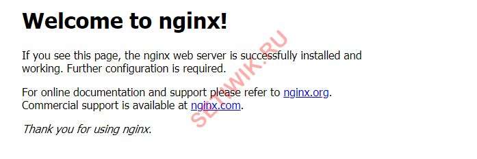 Веб-страница NGINX по умолчанию