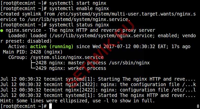 Запустите и добавьте Nginx в автозагрузку