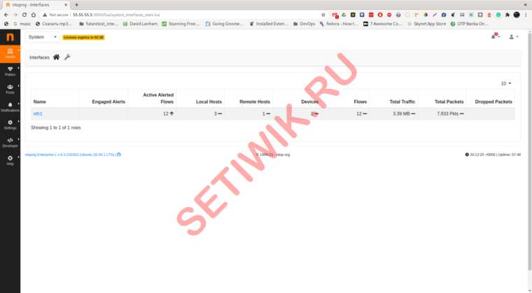 Страница Интерфейсов Ntopng