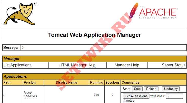 Tomcat Webapp Manager