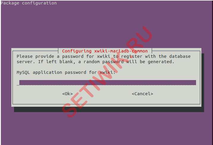 Пароль приложения MySQL для xwiki
