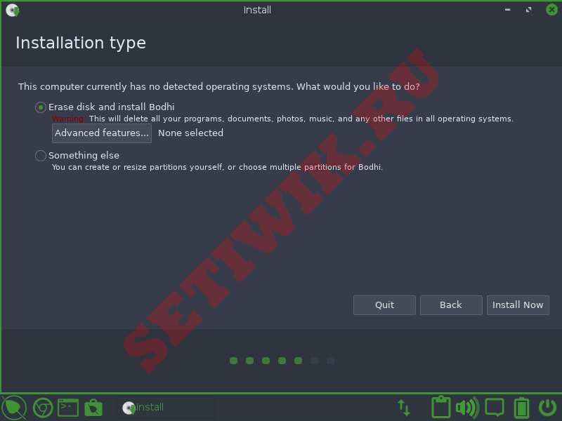 Выберите Тип Установки Bodhi Linux