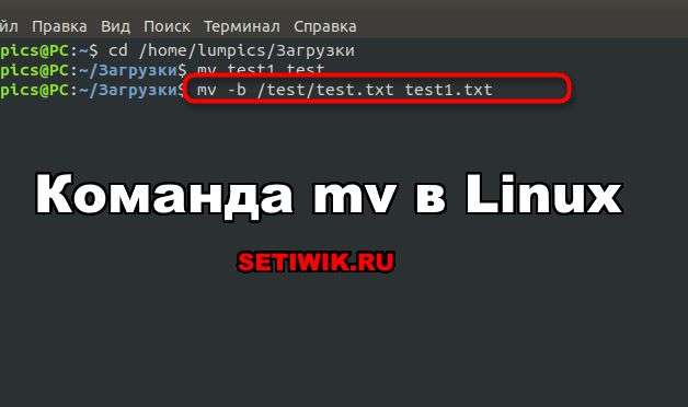 Команда jq в linux