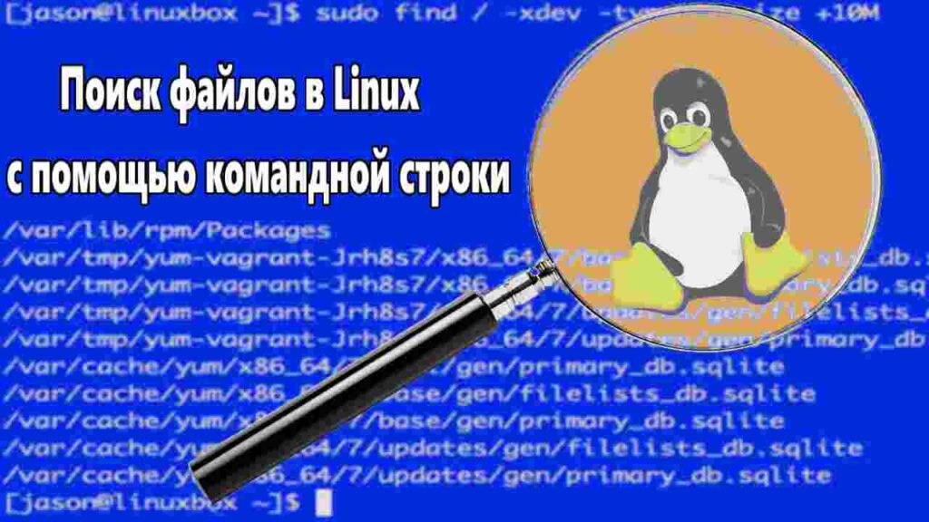 Поиск файлов в Linux с помощью командной строки
