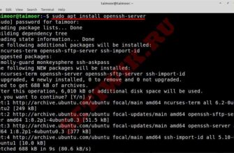 Установка сервера Openssh в Linux Mint
