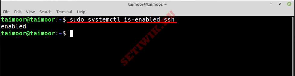 Проверка запуска SSH в linux mint