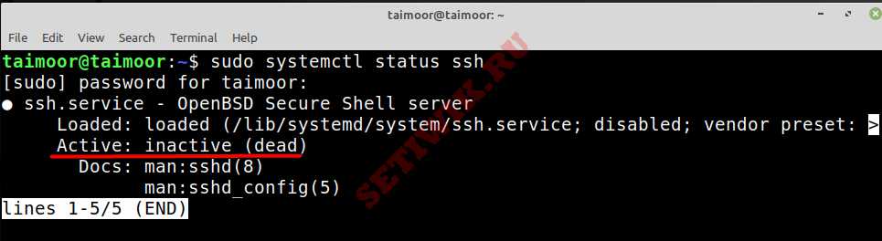 Linux mint ssh включить