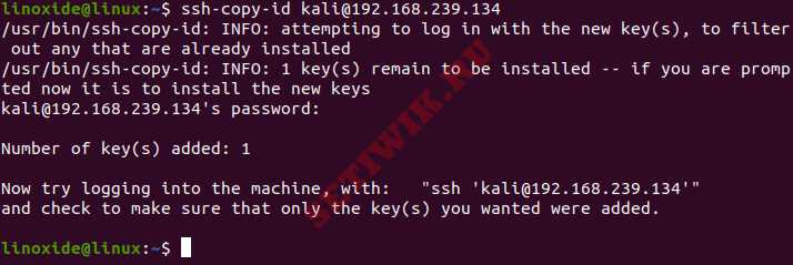 Копирование открытого SSH-ключа