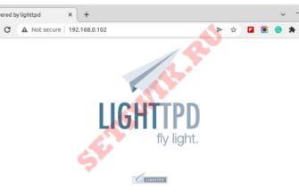 Проверка веб-страницы Lighttpd