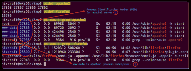 Найдите идентификатор процесса (PID) запущенной программы firefox и сервера apache2.