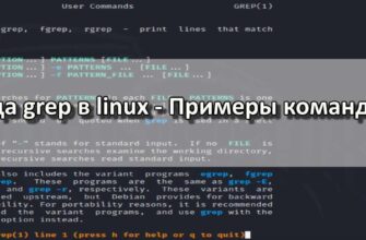 Команда grep в linux - Примеры команды grep