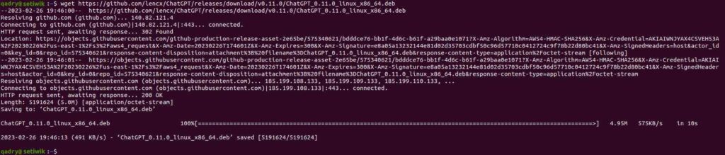 Скачивание chatGPT в Ubuntu с помощью wget