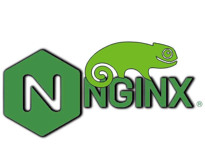 Установка Nginx в openSUSE