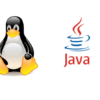 Как настроить переменную окружения JAVA_HOME в Linux