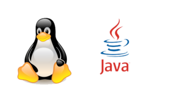 Как настроить переменную окружения JAVA_HOME в Linux