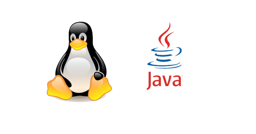 Как настроить переменную окружения JAVA_HOME в Linux