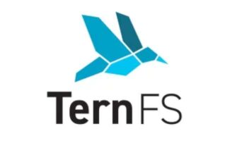 TernFS