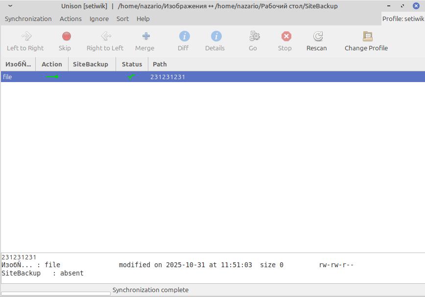 Unison двусторонняя синхронизация файлов в Linux с графическим интерфейсом