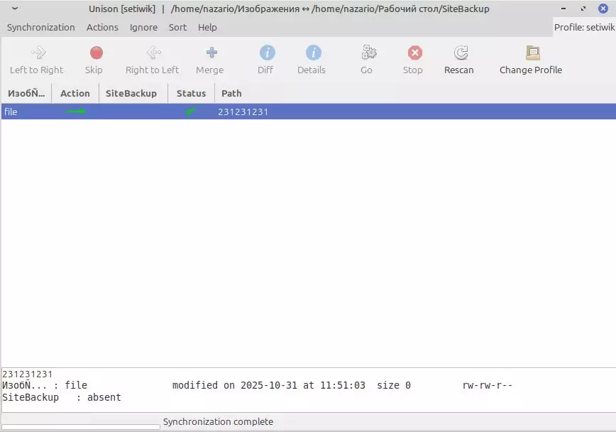Unison двусторонняя синхронизация файлов в Linux с графическим интерфейсом