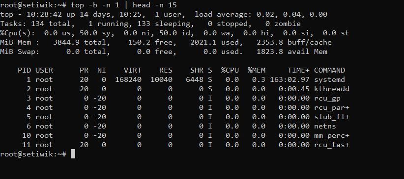 Команда top показывает нагрузку CPU и процессы